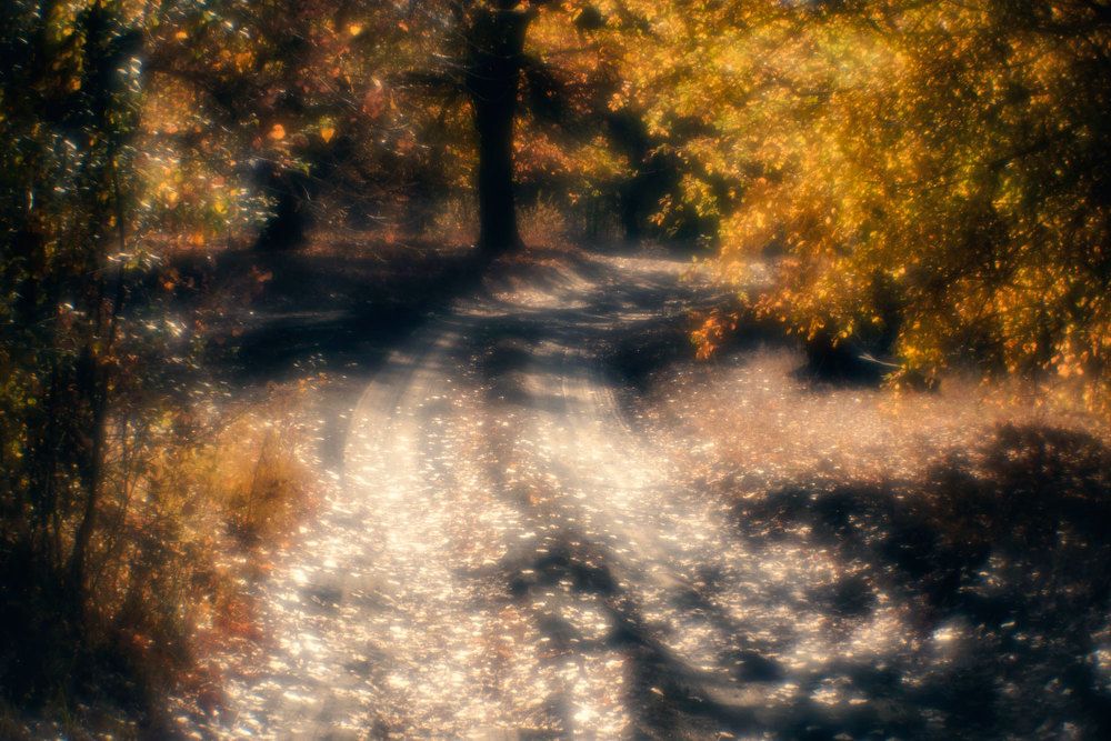 Фотография автора Игорь Баранов