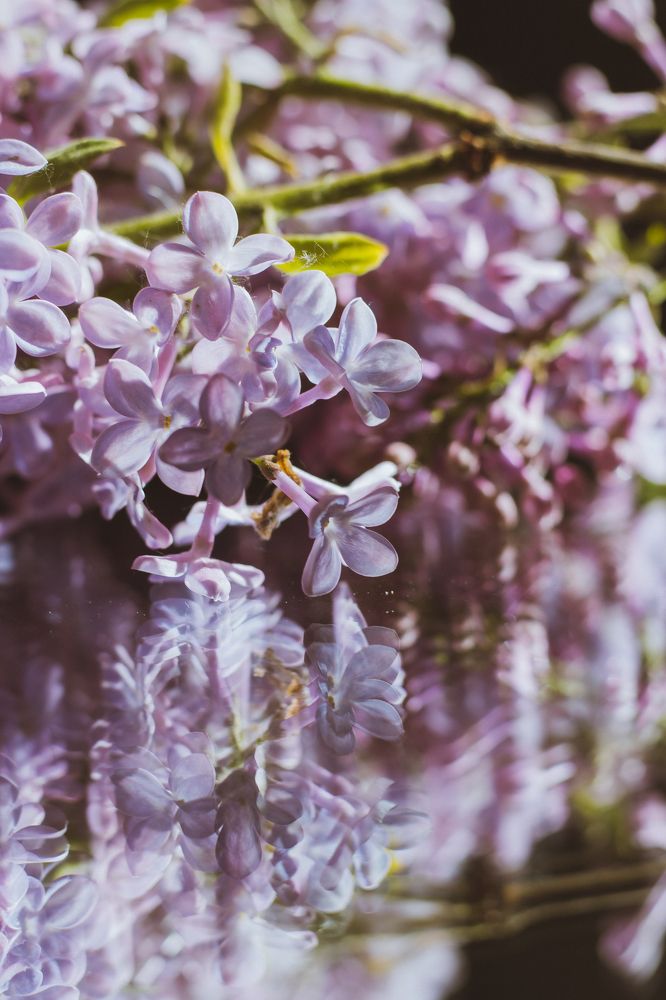 Photograph by Алина Логвиненко