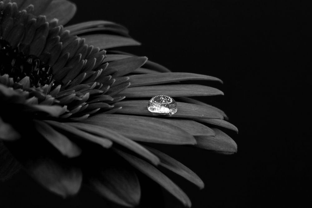 Photograph by Алексей Амилющенко