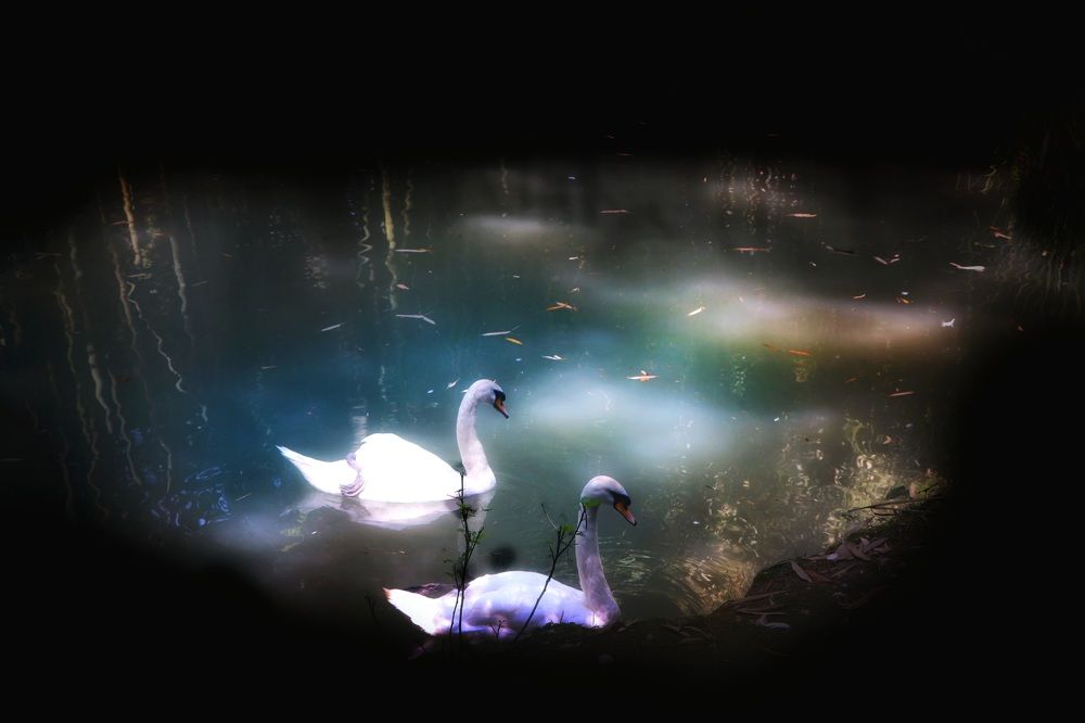 Photograph by Екатерина Цыбулькина
