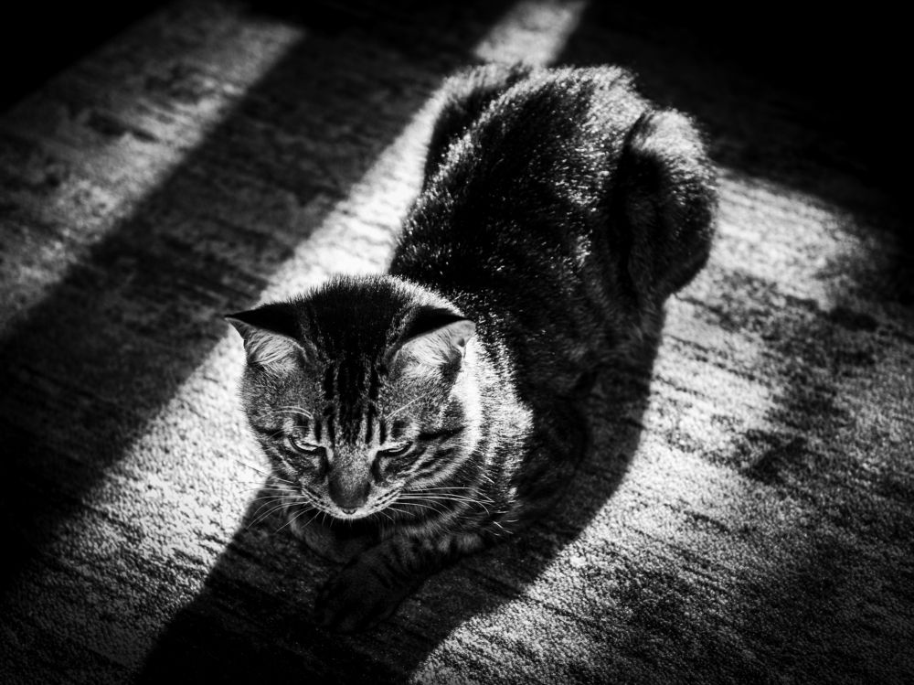 Photograph by Евгений Житников