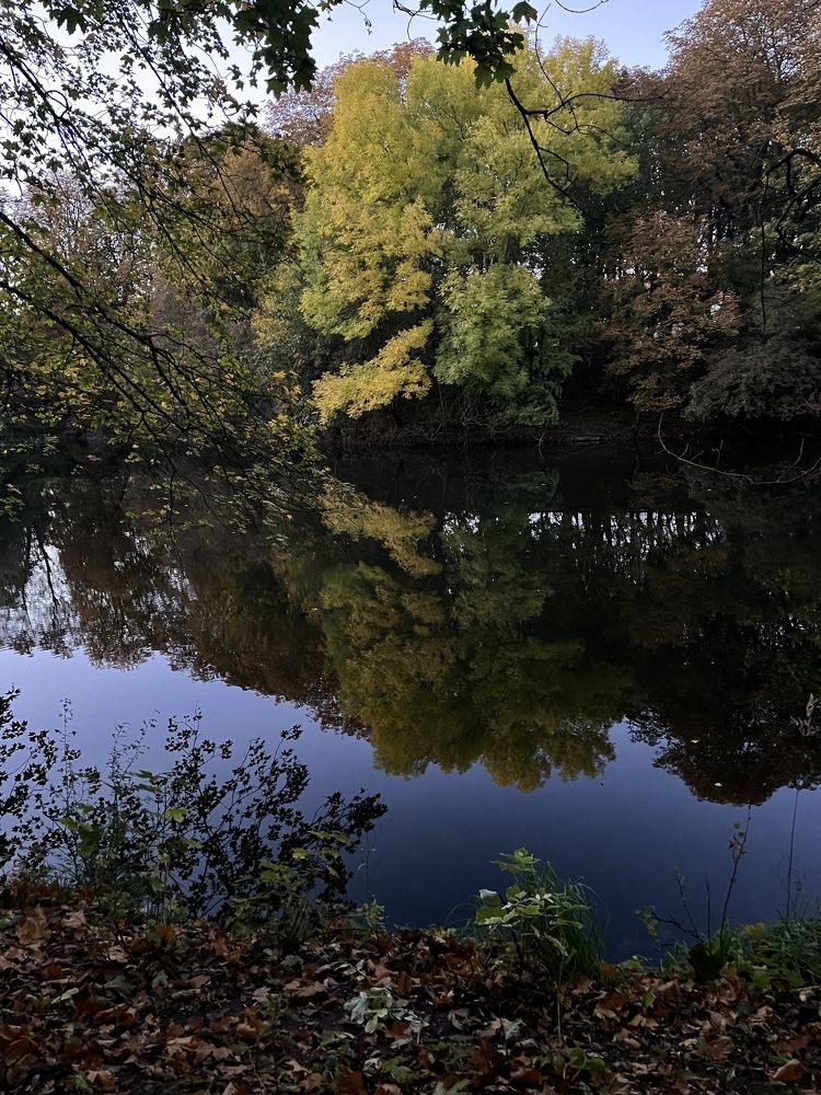 Photograph by Marina kosenko