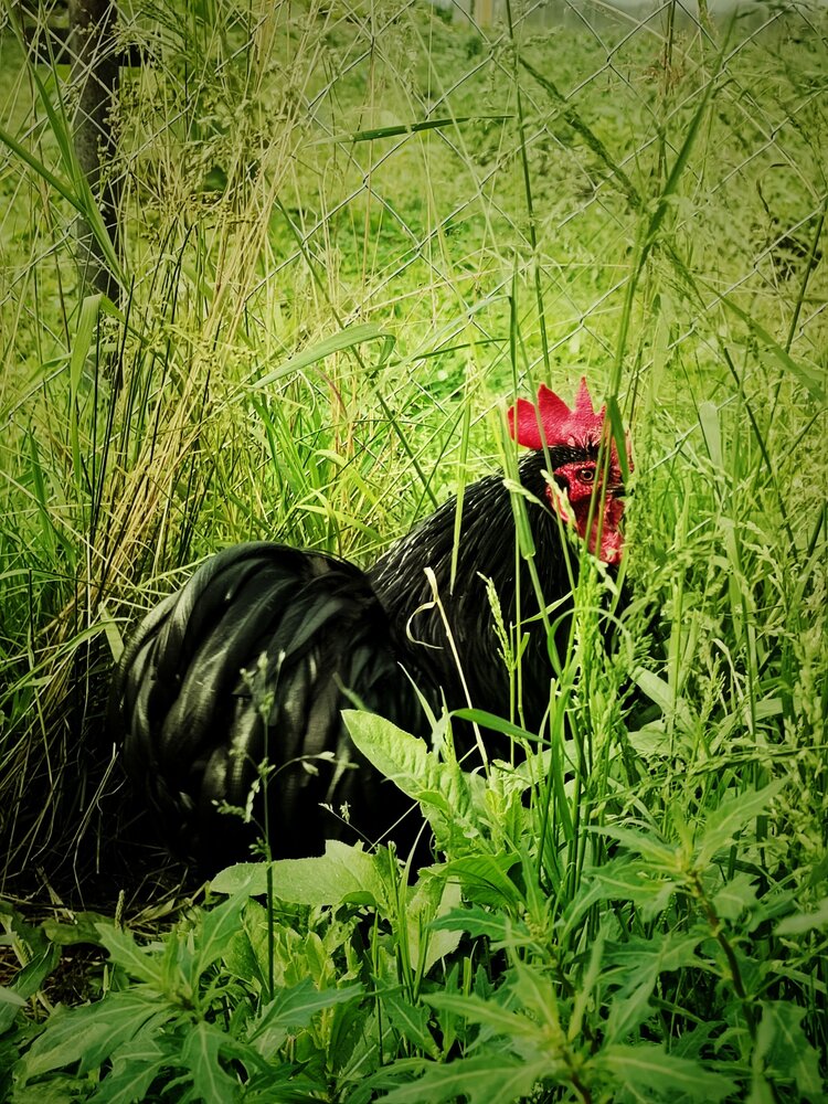 Photograph by Юлия Гришина