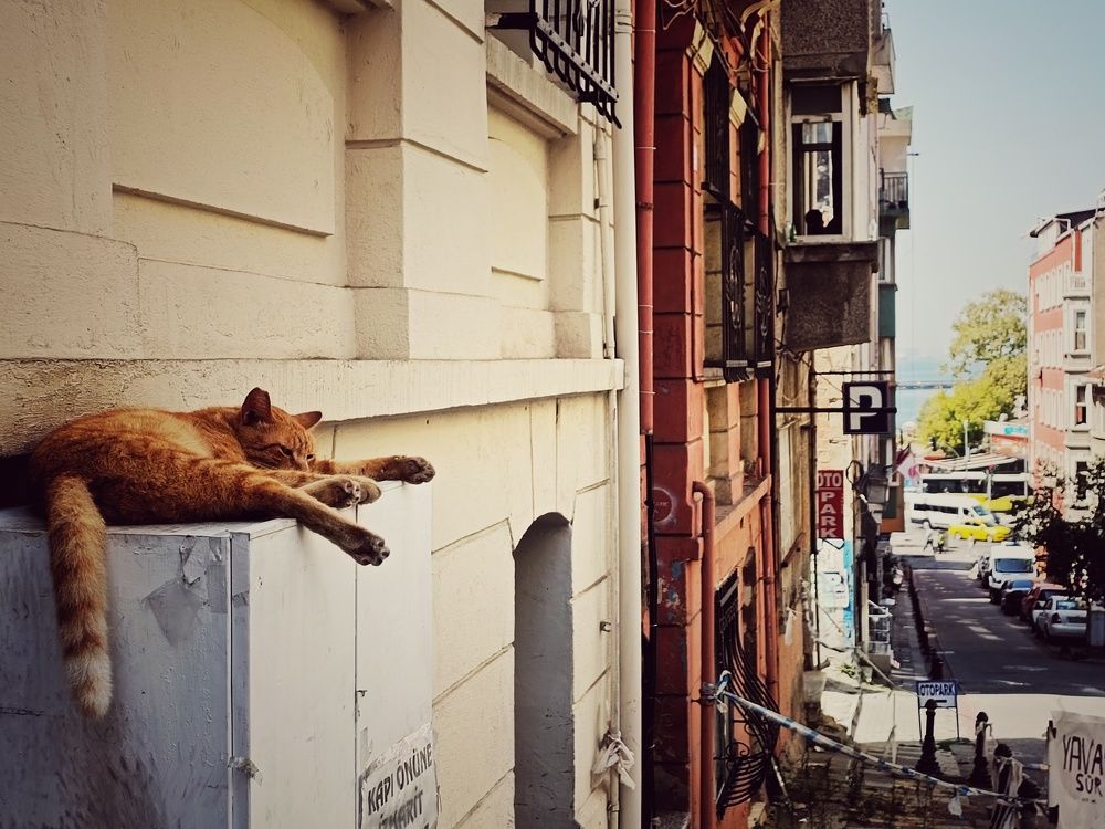Photograph by Юлия Гришина