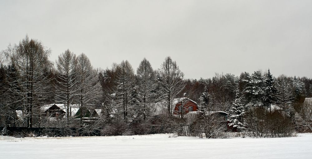 Photograph by Александр Гуреев