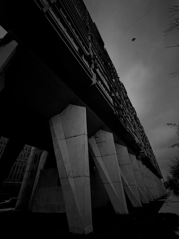 Photograph by Юлия Гришина