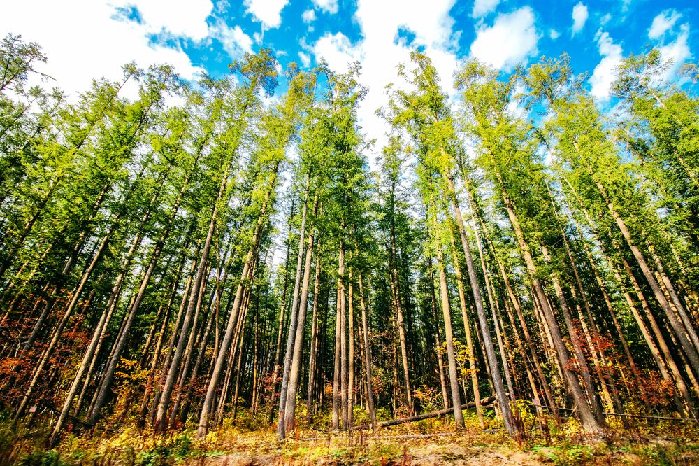 Photograph by Anna Turks