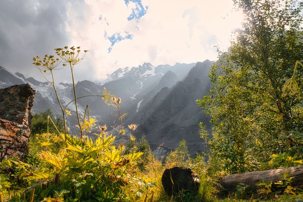 Photograph by Дудников Александр