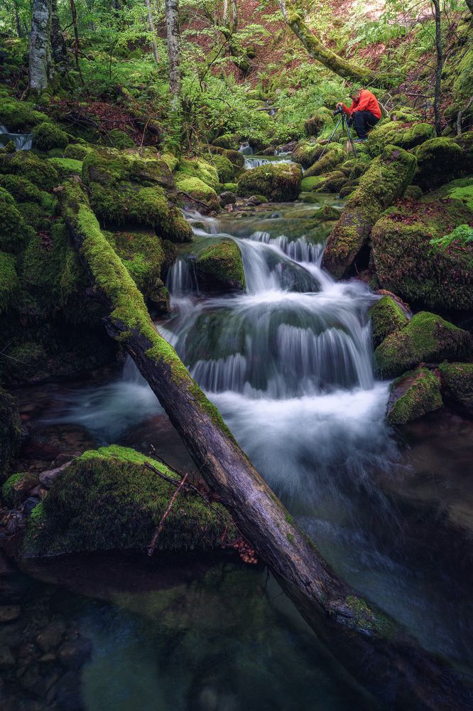 Photograph by Francisco Crusat