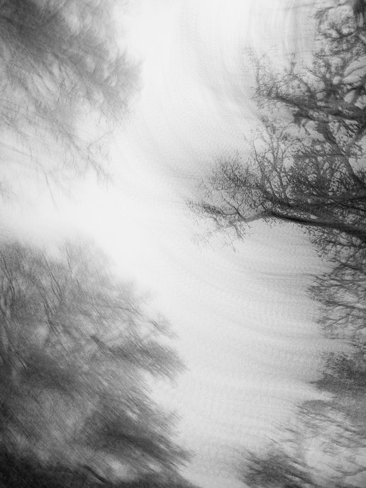 Photograph by Anna Turks