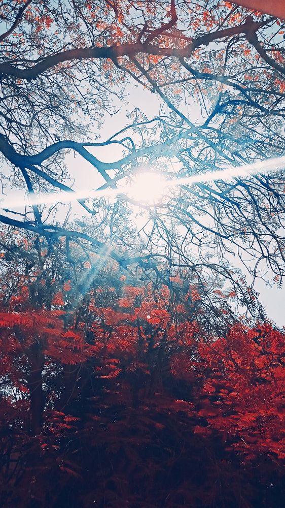 Photograph by LAKSHMI PRIYA R