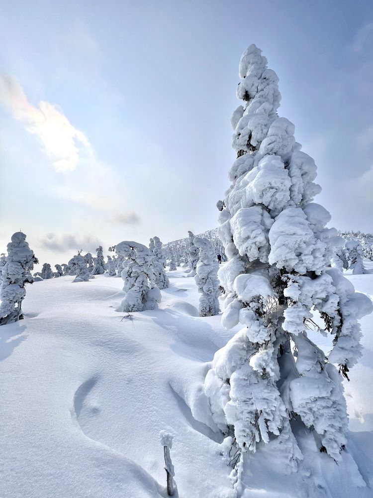 Photograph by Anna Turks