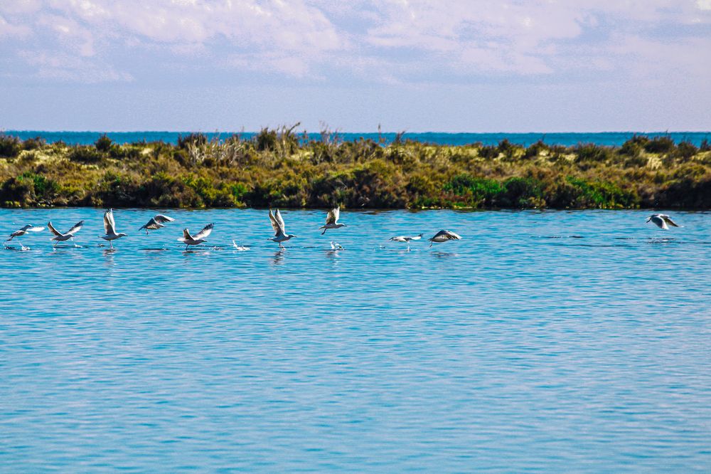 Photograph by Mohammed Ibn Essa محمد أبن عيسى