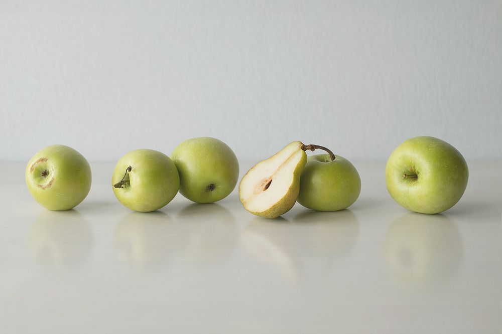 Фотография автора Сафонова Людмила