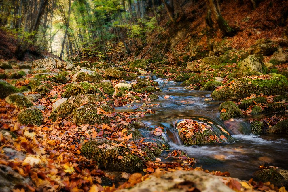 Photograph by Владимир Яковлев