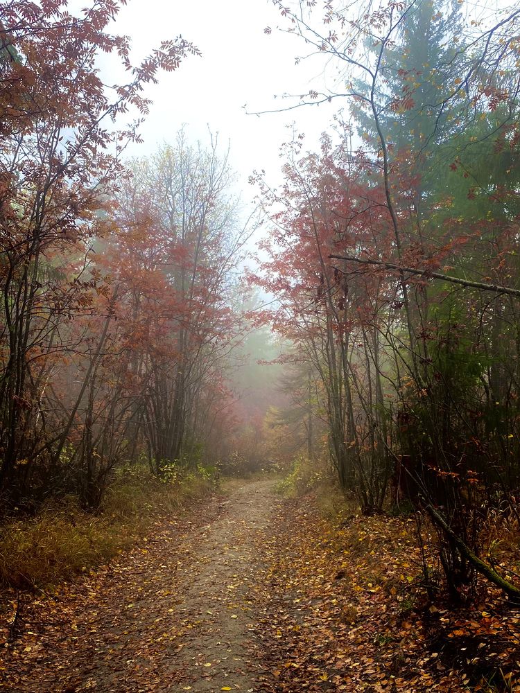 Photograph by Иван Кукса