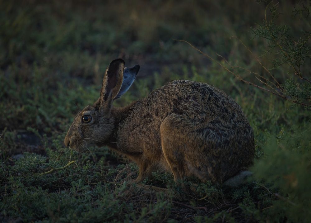 Photograph by Дмитрий Власов
