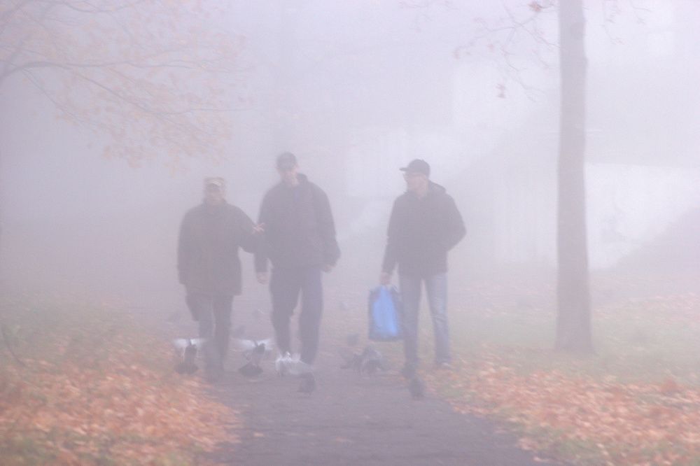 Рабочее утро.