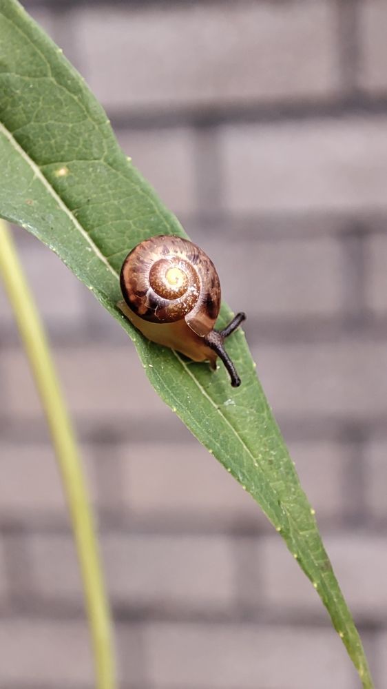 Photograph by Татьяна Чиглинцева