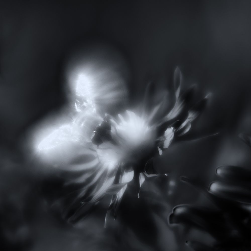 Фотография автора Игорь Баранов