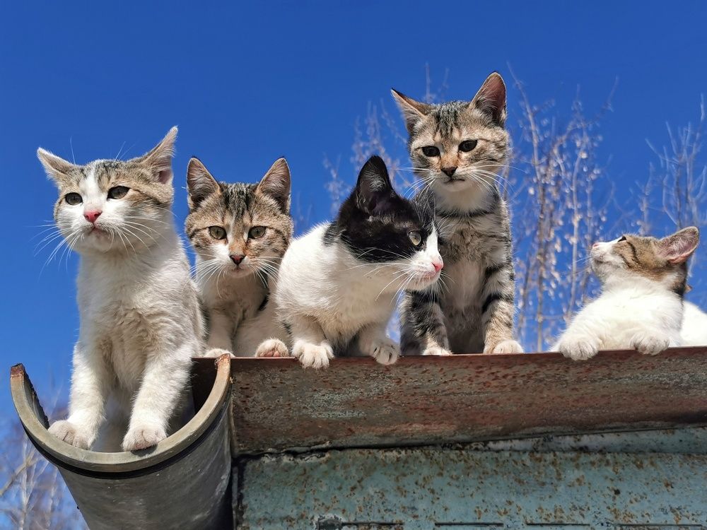 Photograph by Александр Козленков