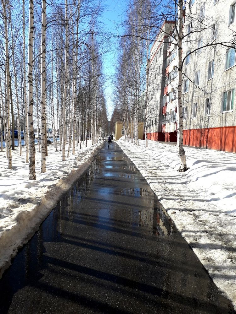 Photograph by Людмила Скочилова