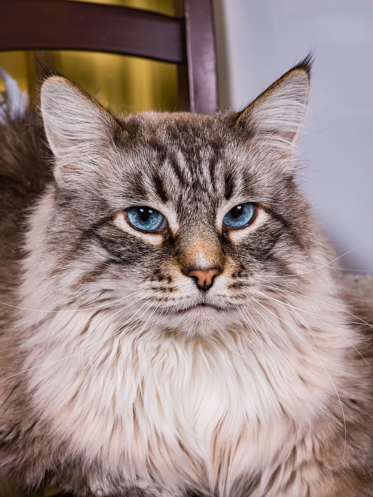 Photograph by Евгений Порсов