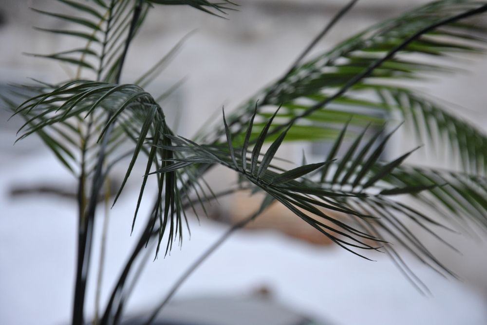 Photograph by Hanna Rein