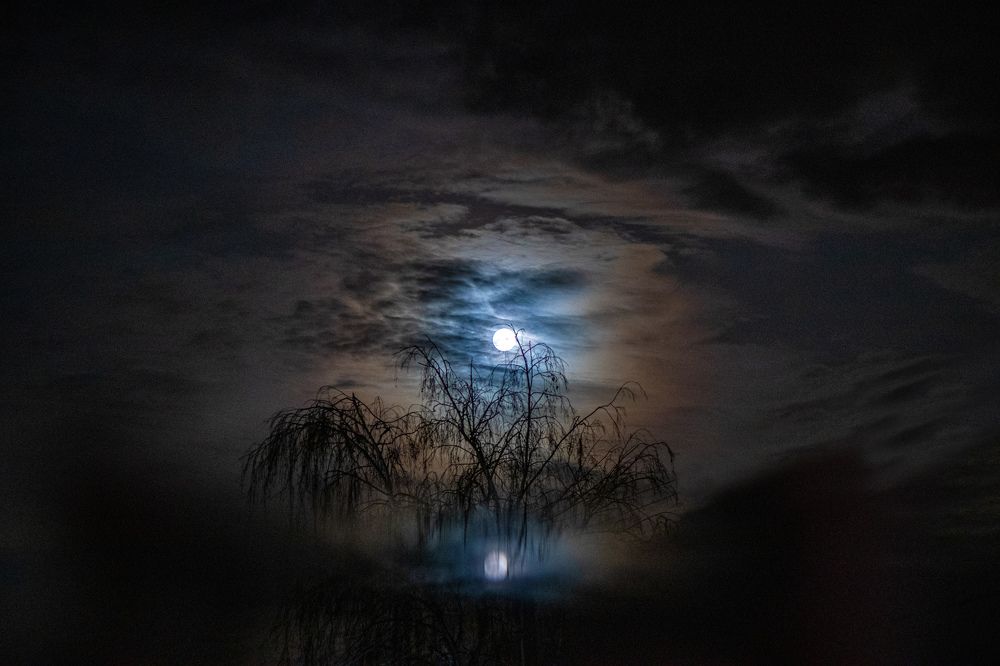 Photograph by Vitaly Lapin