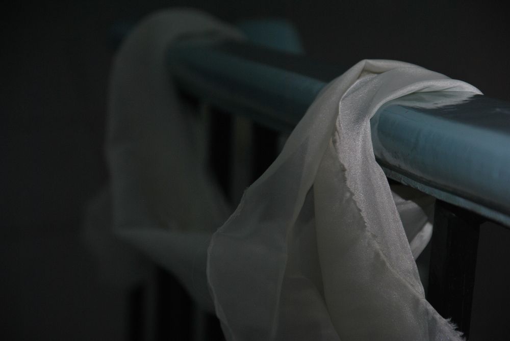 Photograph by Hanna Rein