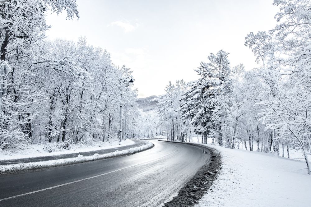 Photograph by Anna Turks