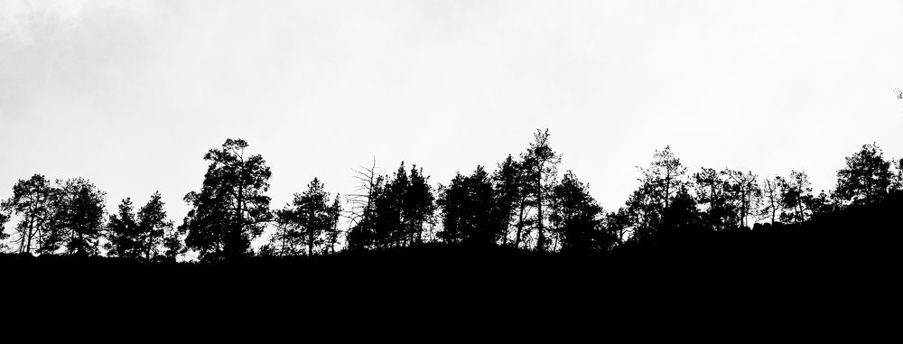 Фотография автора Наталья Акиньшина