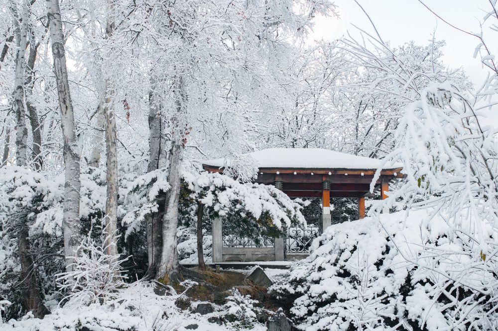 Photograph by Anna Turks