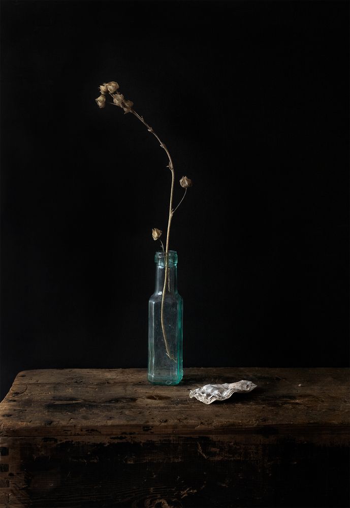 Photograph by Анна Статейко