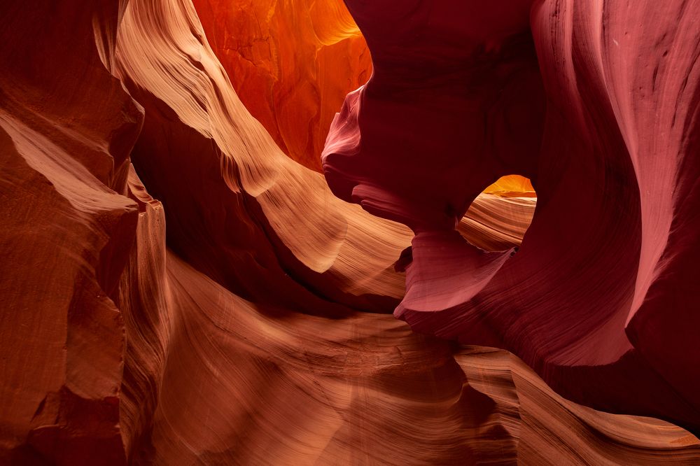 Фотография автора PIROOZ Moshavash