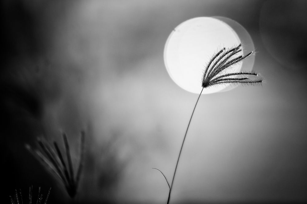 Photograph by Tigor Lubis