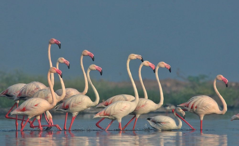 Photograph by Nirav Mehta