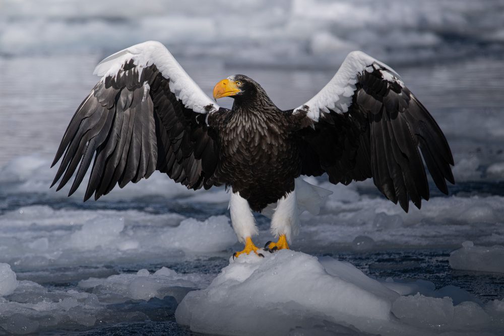 Photograph by Matsubara Hiroki