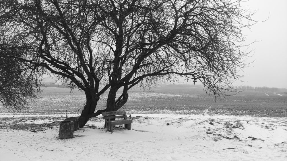Photograph by Hleb Karneichuk