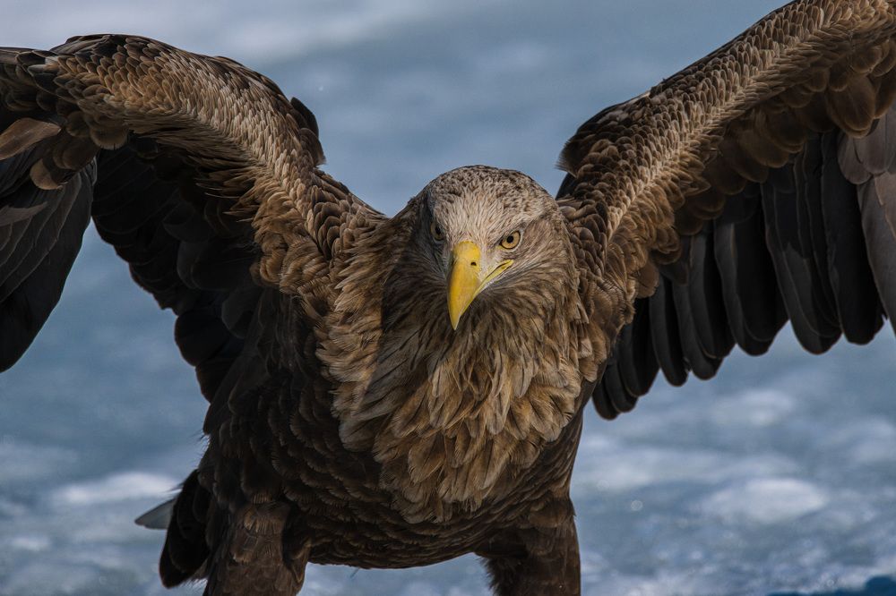 Photograph by Matsubara Hiroki