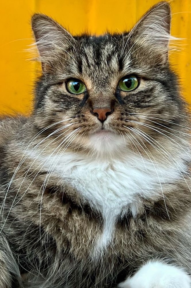 Photograph by Ингрида Кузнецова