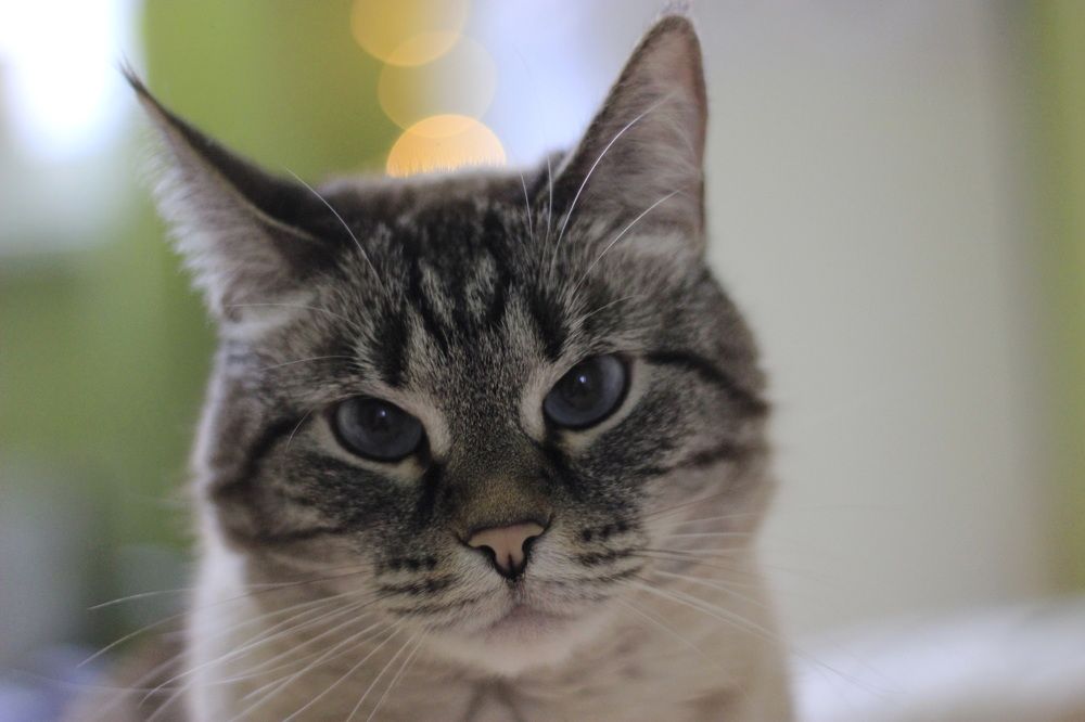 Photograph by Анна