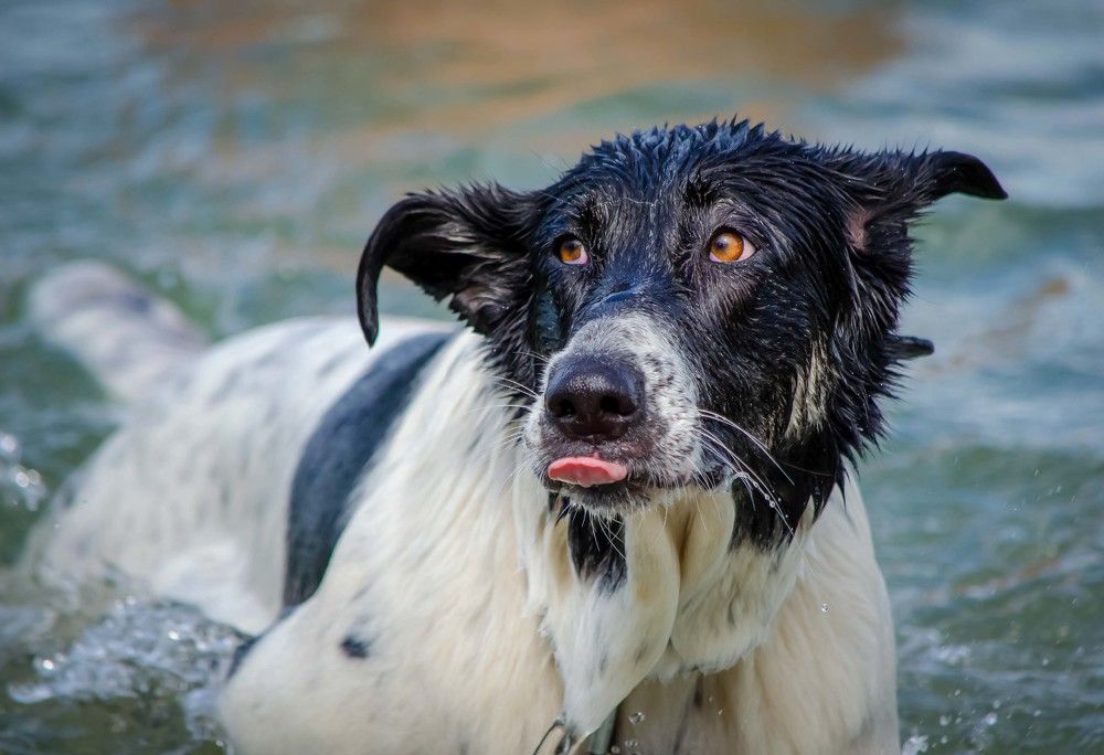 Photograph by Ирина Бандалет