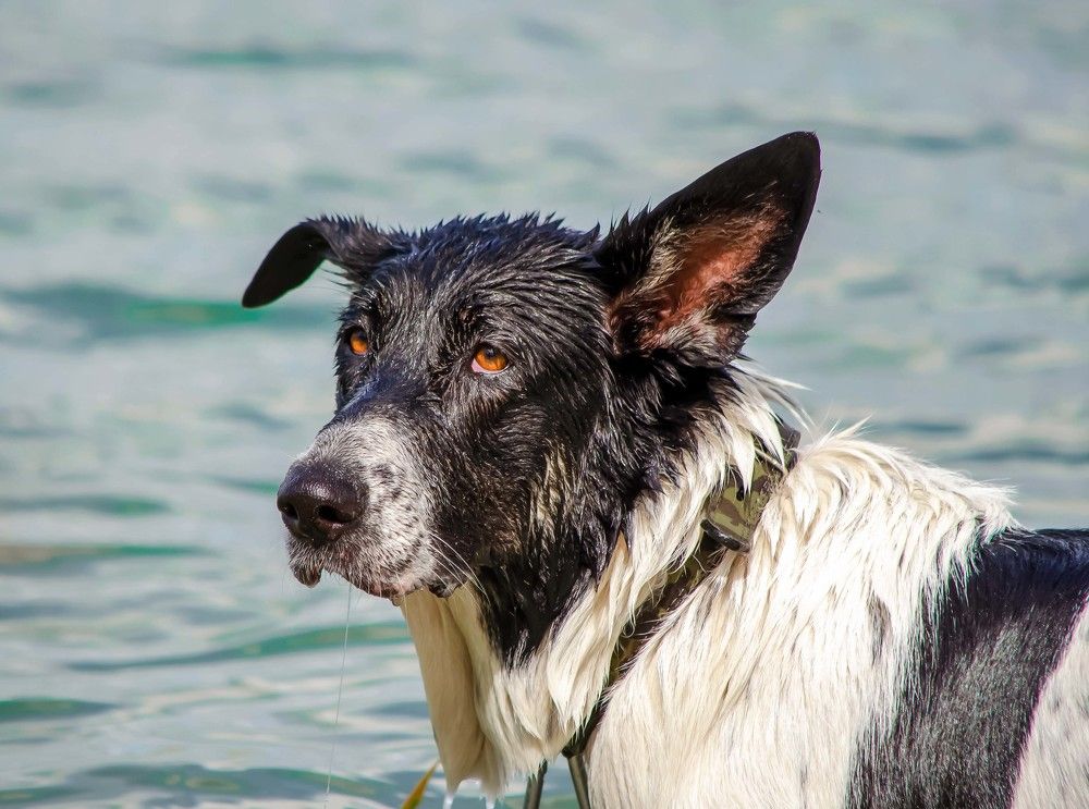 Photograph by Ирина Бандалет