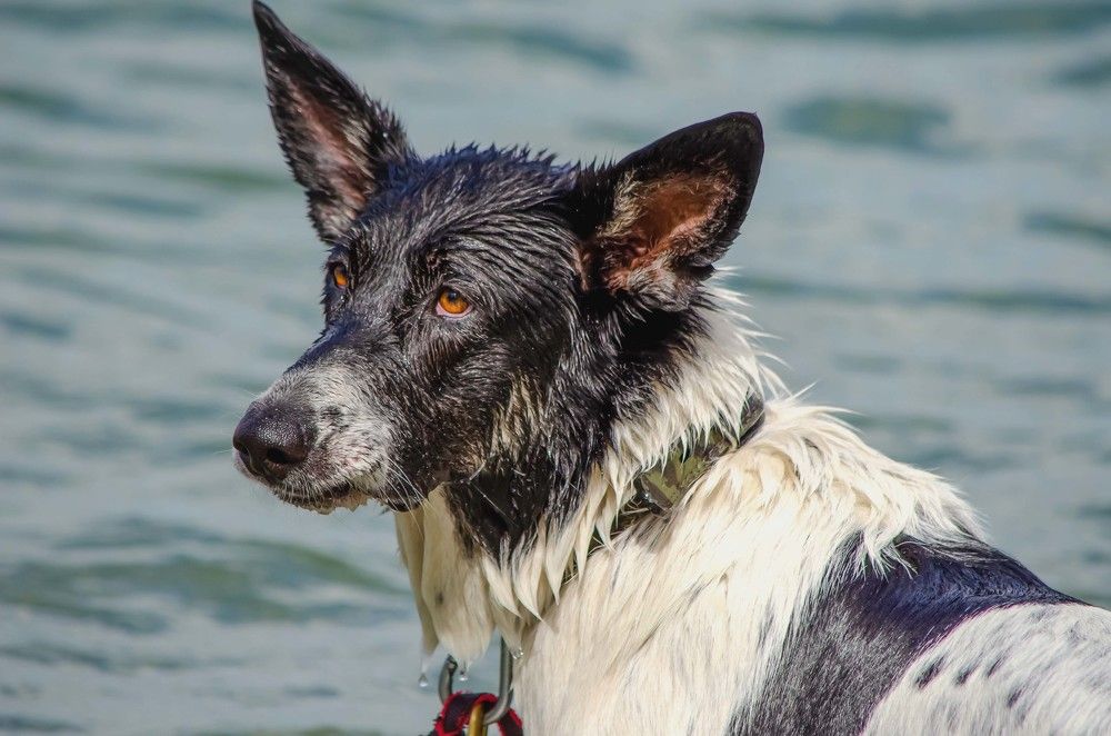 Photograph by Ирина Бандалет