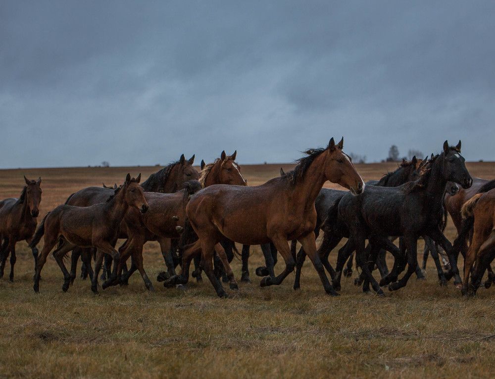 Photograph by Любовь Похабова