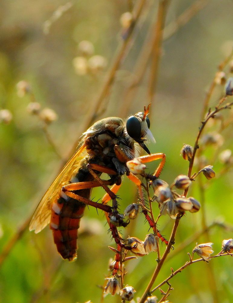 Photograph by Сергей Чеченов