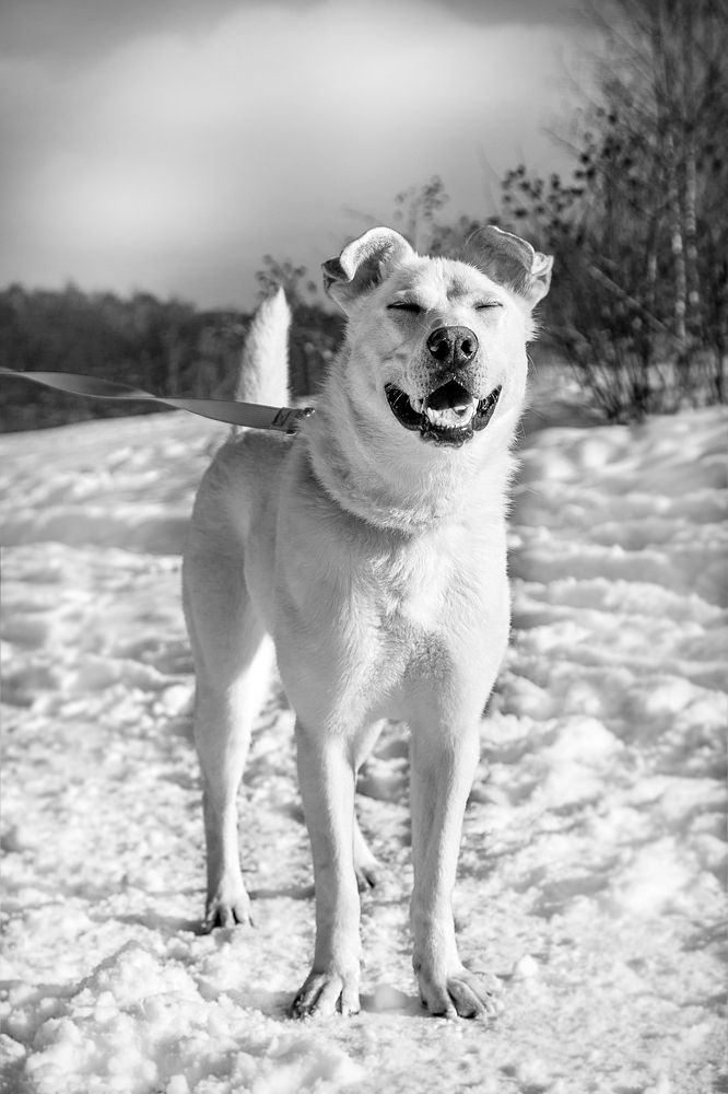 Photograph by Оксана Пучкова