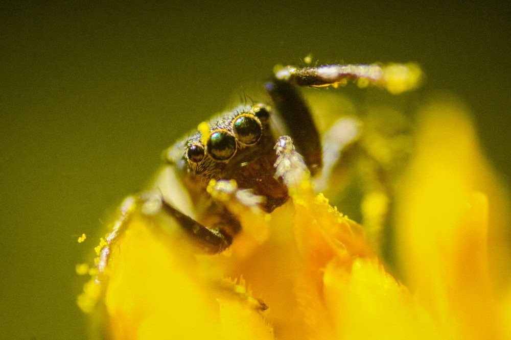 Photograph by Tharindu Gunarathna