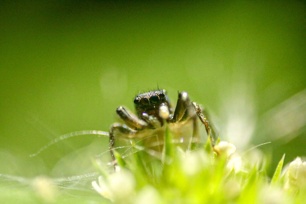 Photograph by Tharindu Gunarathna